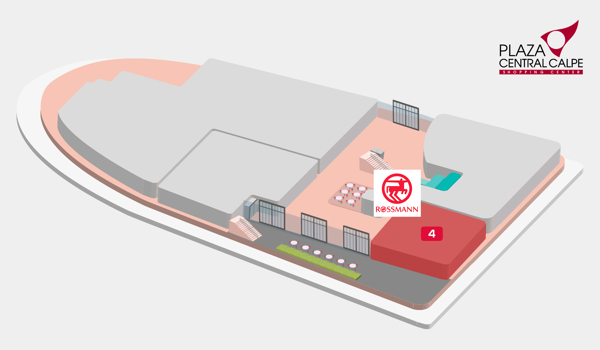 planta-0-ROSSMANN