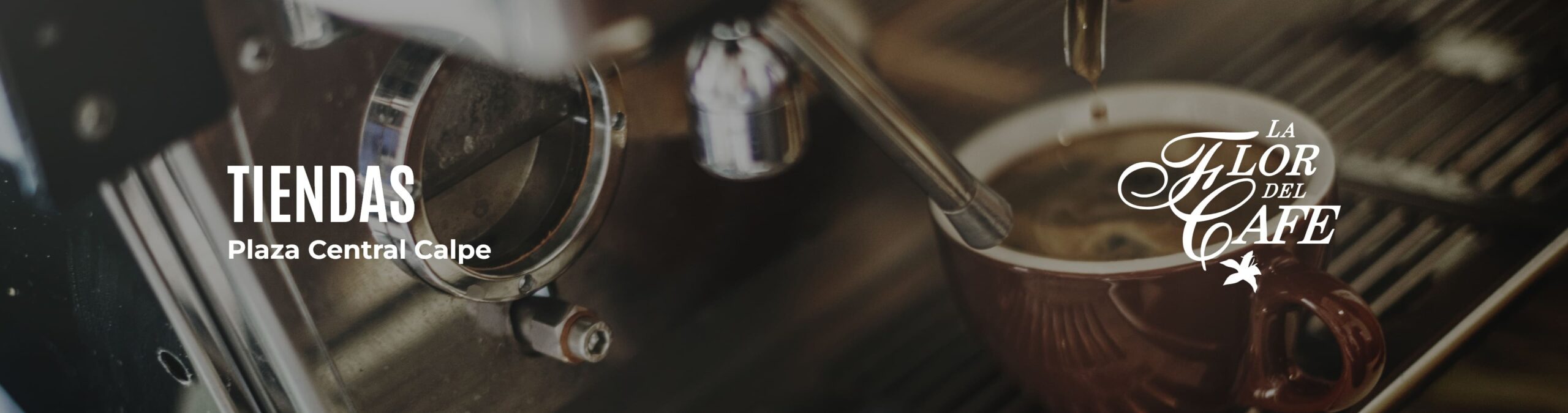 Banner la flor del cafe