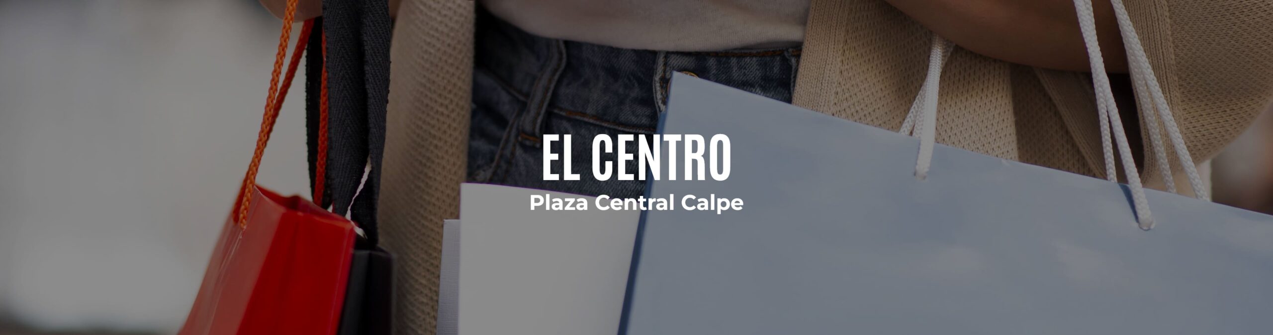 banner-el-centro-movil
