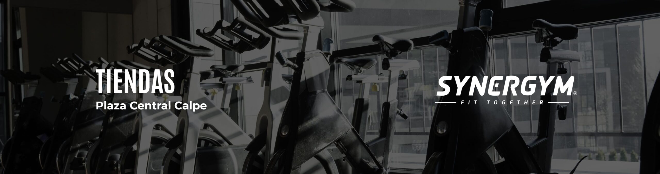 Synergym_Banner
